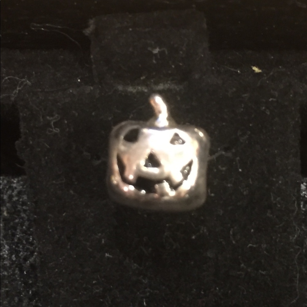.925 Silver Pandora style European Charm